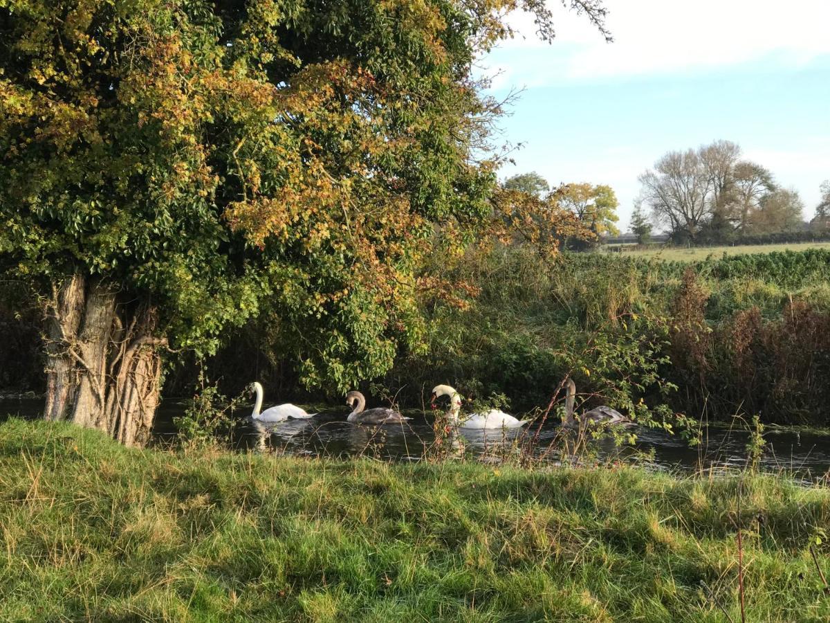Tupenny Cottage, Old Mill Farm, Cotswold Water Park Сайърънсестър Екстериор снимка